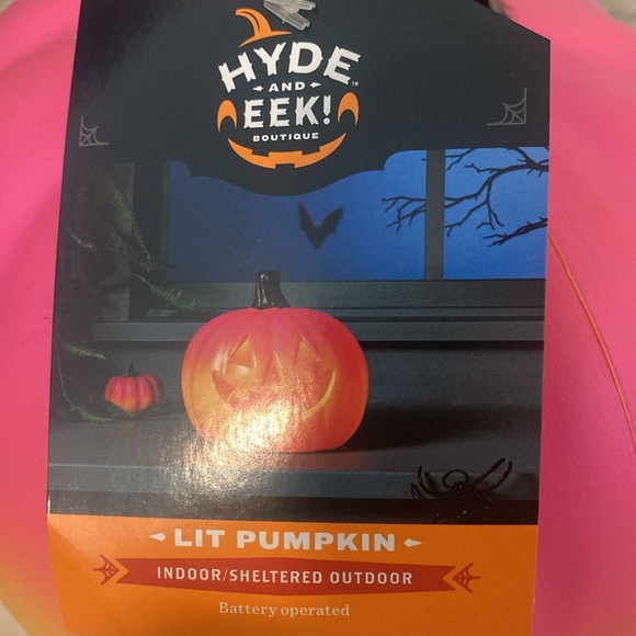 Target Hyde and Eek 2023 Halloween Lit Pumpkin - Picture 6 of 12